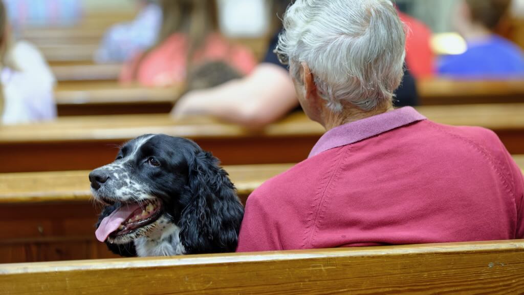 Man and dog in church