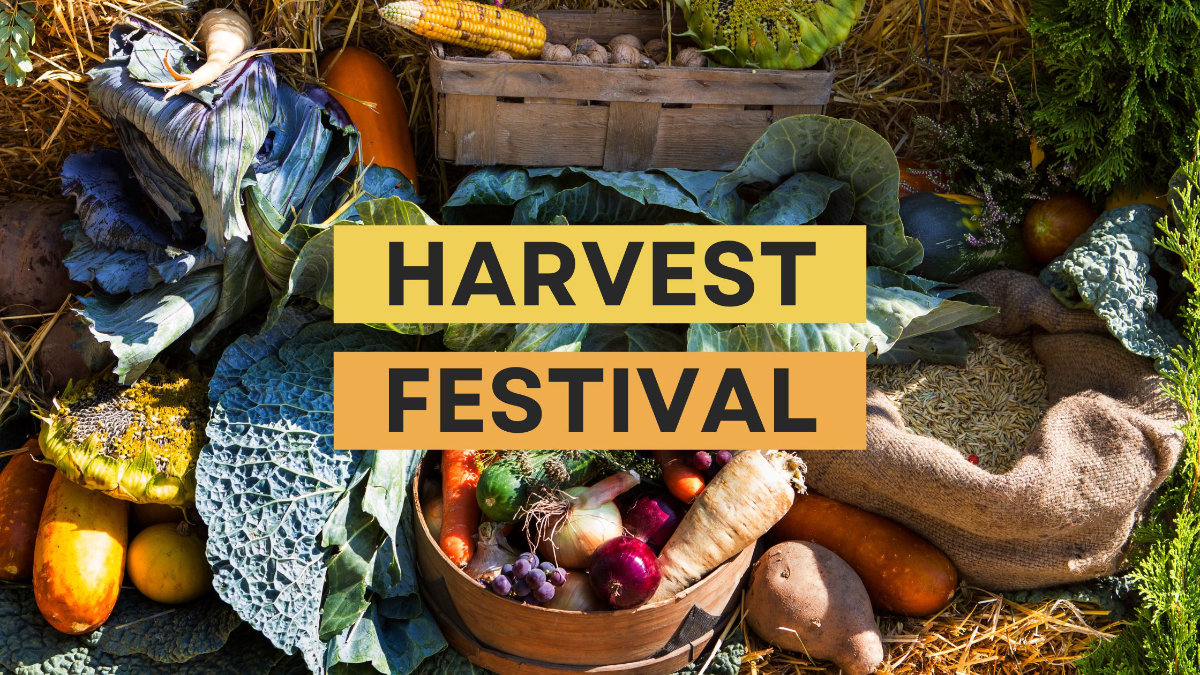 Grey Minimalist Tips Blog Banner – Grey Minimalist Tips Blog Ban Harvest festival vegetables and fruit